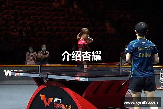 介绍杏耀